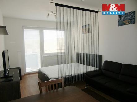 CIMG9892.jpg | Pronájem bytu, 1+kk, 33 m²