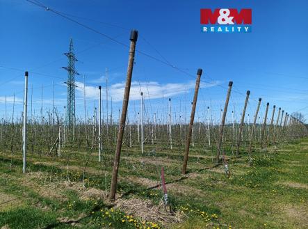 IMG_20260422_120830_920.jpg | Prodej - pozemek, zemědělská půda, 8 946 m²