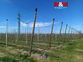 Prodej - pozemek, zemědělská půda, 8 946 m²