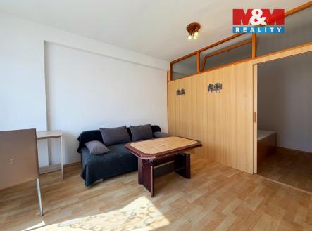 IMG_2338.jpeg | Pronájem bytu, 1+1, 43 m²