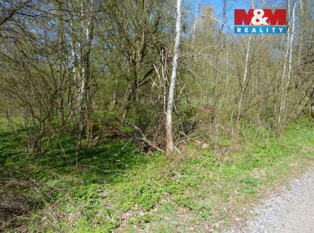 P1660434.jpg | Prodej - pozemek pro bydlení, 1 453 m²