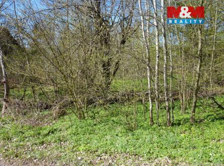 P1660435.jpg | Prodej - pozemek pro bydlení, 1 453 m²