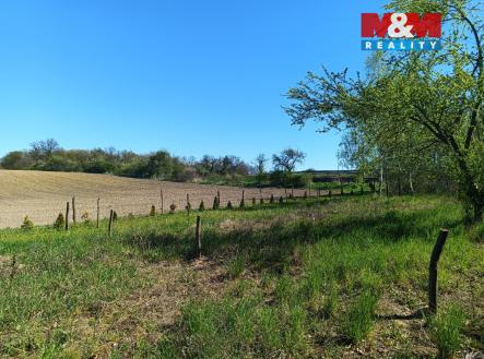 IMG_20260423_151506_625.jpg | Pronájem - pozemek, zahrada, 3 761 m²