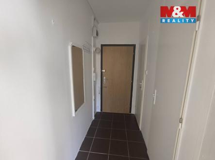 676307154_10224688947889338_3013482177663664825_n.jpg | Pronájem bytu, 1+kk, 32 m²