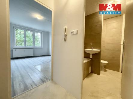 IMG_1638.jpeg | Pronájem bytu, 1+1, 38 m²