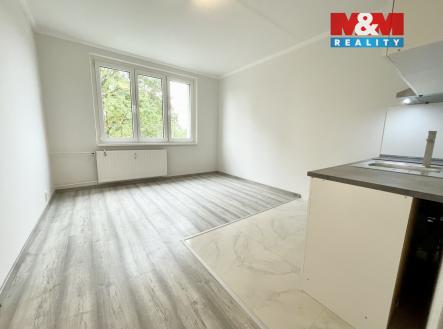 IMG_1627.jpeg | Pronájem bytu, 1+1, 38 m²