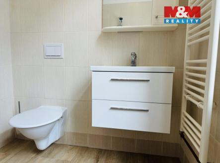 viber_image_2024-06-10_12-54-16-233.jpg | Pronájem bytu, 2+kk, 65 m²