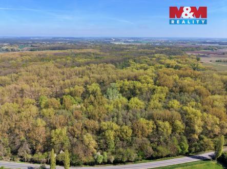 DJI_20260424102835_0028_D.jpg | Prodej - pozemek, les, 70 048 m²