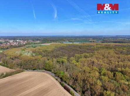 DJI_20260424102844_0029_D.jpg | Prodej - pozemek, les, 70 048 m²