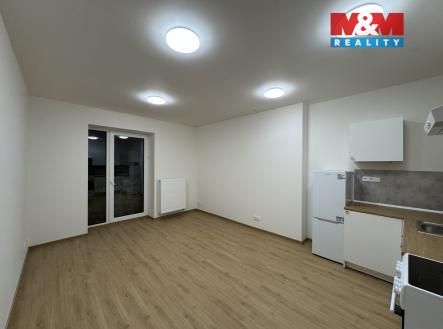 IMG_5983.jpeg | Pronájem bytu, 1+kk, 29 m²