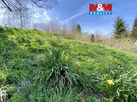 f9da2d9d-fe21-46a9-8997-1d1fb0e4f013.jpeg | Prodej - pozemek, trvalý travní porost, 1 153 m²