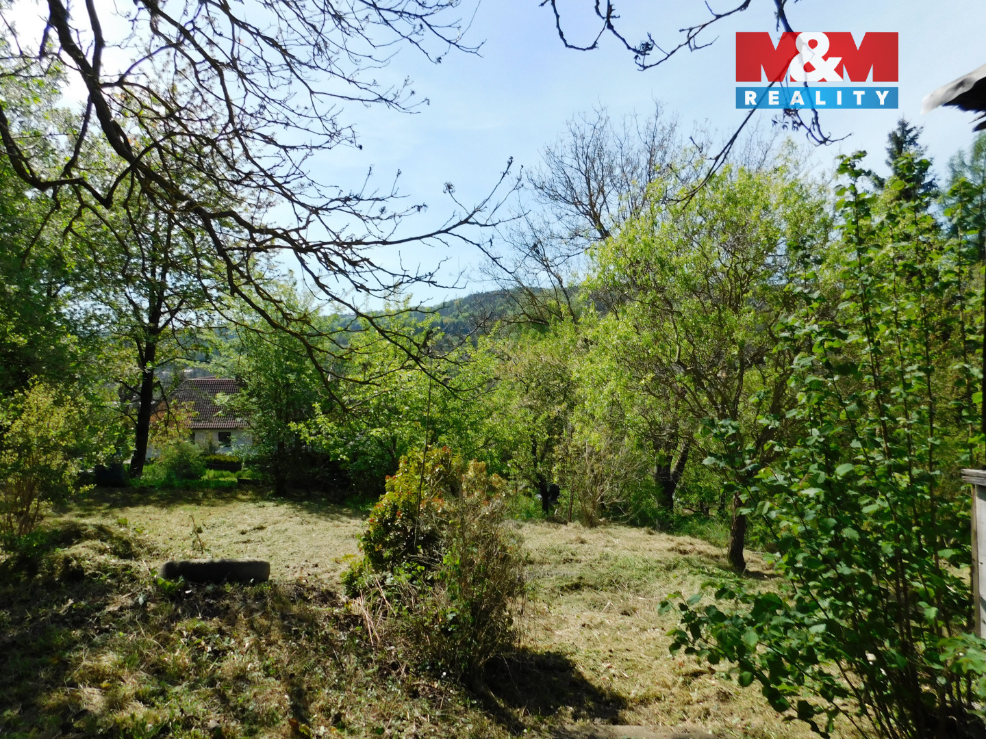 DSCN2692.jpg