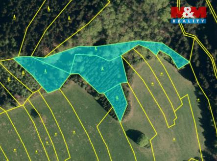 Ortofo bez parcel.jpg | Prodej - pozemek, les, 8 743 m²