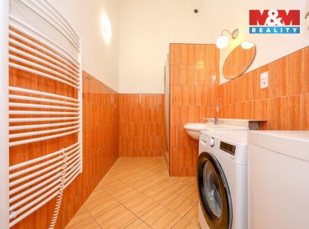 IMG_5340.jpg | Pronájem bytu, 4+kk, 180 m²