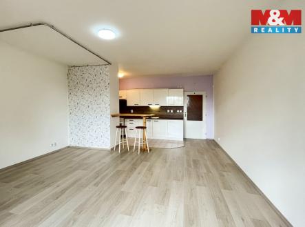IMG_2529.jpg | Pronájem bytu, 1+kk, 44 m²