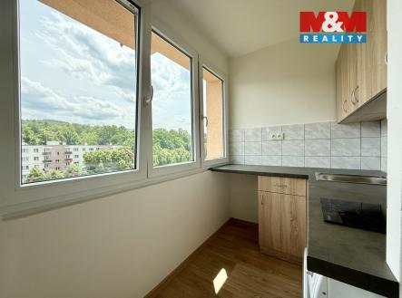 IMG_0730.jpg | Pronájem bytu, 1+kk, 27 m²