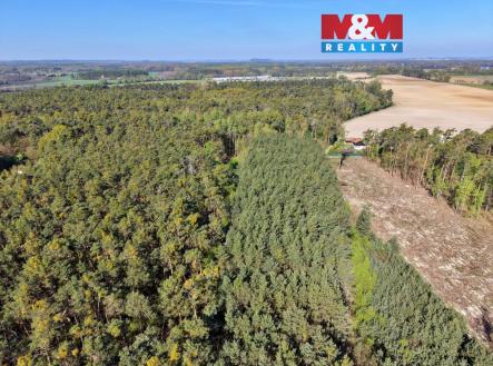 DJI_20260424093112_0013_D.jpg | Prodej - pozemek, les, 4 769 m²