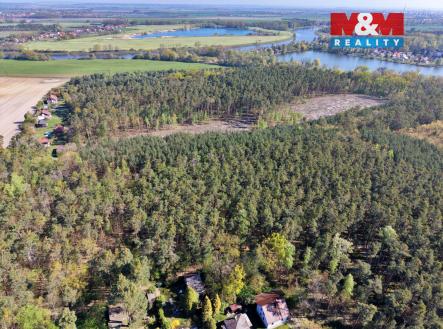 DJI_20260424092900_0007_D.jpg | Prodej - pozemek, les, 4 769 m²