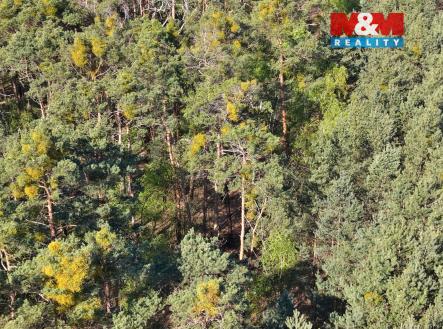 DJI_20260424093058_0012_D.jpg | Prodej - pozemek, les, 4 769 m²