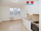 Pronájem bytu, 1+kk, 27 m²
