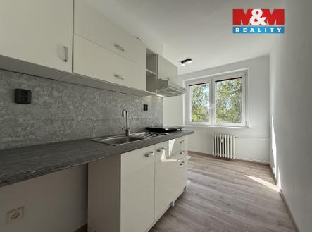IMG_6330.jpeg | Pronájem bytu, 1+1, 42 m²