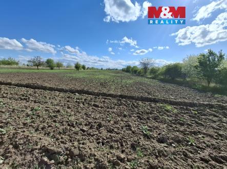 20260420_155726.jpg | Prodej - pozemek, zemědělská půda, 3 033 m²