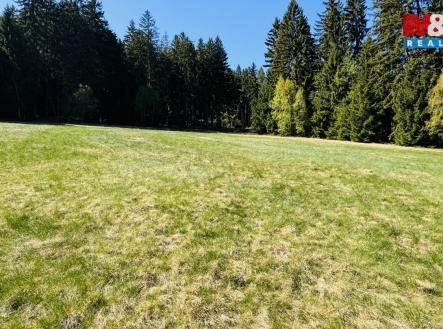 3.jpeg | Prodej - pozemek, trvalý travní porost, 4 150 m²