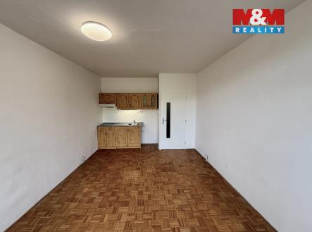 8.jpeg | Pronájem bytu, 1+kk, 28 m²