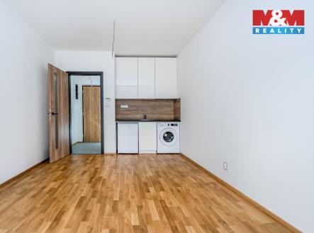 DSC01660-Edit.jpg | Pronájem bytu, 1+kk, 24 m²