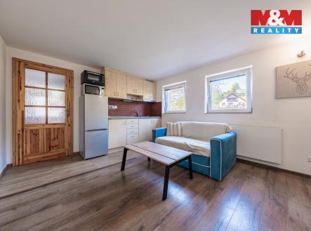 941497 - Pronájem bytu 1+kk, 22 m², Březí, ul. Jana Nepomuckéh | Pronájem bytu, 1+kk, 22 m²