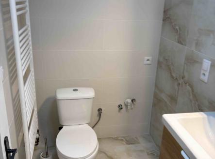 IMG_2282.jpeg | Pronájem bytu, 1+1, 51 m²