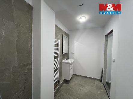 IMG_5894.jpeg | Pronájem bytu, 1+kk, 72 m²