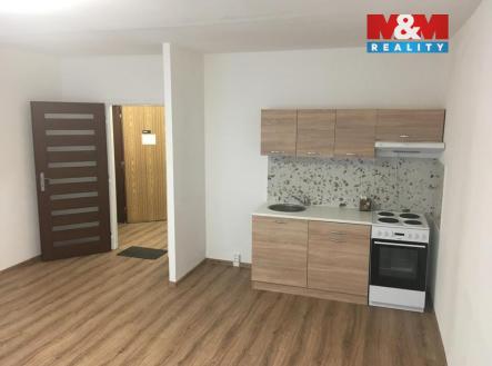 378382589_10218349964858724_7257835815383108668_n.jpg | Pronájem bytu, 1+kk, 31 m²
