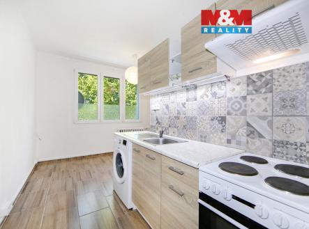 3[1].jpg | Pronájem bytu, 1+kk, 20 m²