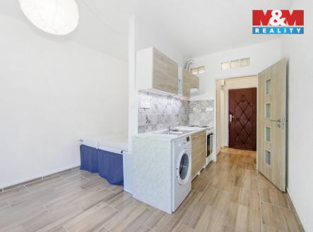 6[1].jpg | Pronájem bytu, 1+kk, 20 m²