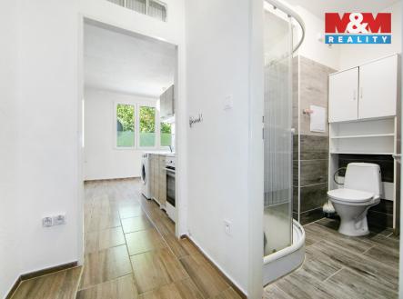 5[1].jpg | Pronájem bytu, 1+kk, 20 m²