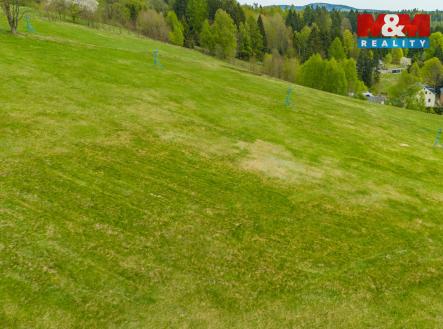 2.jpg | Prodej - pozemek, trvalý travní porost, 13 478 m²