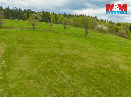 3.jpg | Prodej - pozemek, trvalý travní porost, 13 478 m²