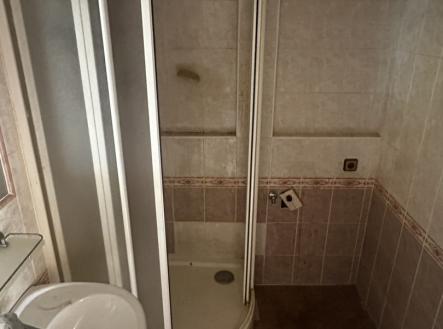 IMG_6696.jpeg | Prodej bytu, 3+1, 73 m²