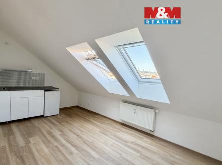 IMG_9246.jpg | Pronájem bytu, 1+kk, 20 m²