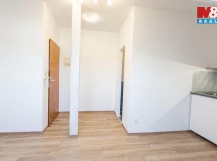 IMG_9250.jpg | Pronájem bytu, 1+kk, 20 m²