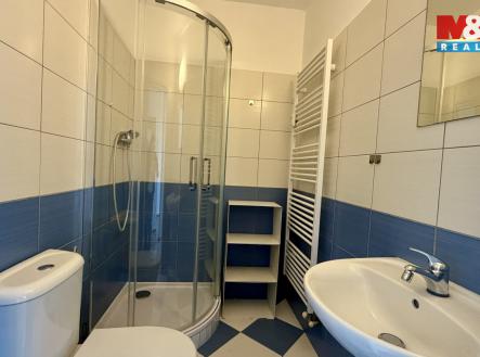 IMG_9203.jpg | Pronájem bytu, 1+kk, 20 m²