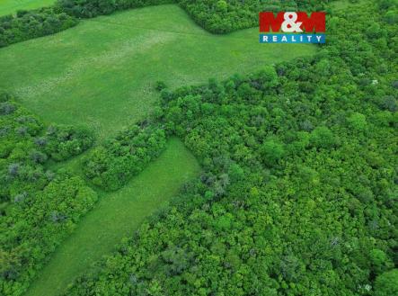 image_3058E1B9-7CED-4D7E-A070-AC657A1EB644_1780847199.jpeg | Prodej - pozemek, zahrada, 1 690 m²