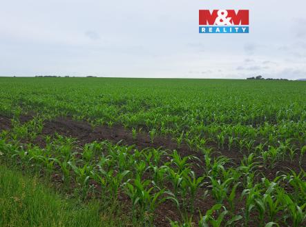 20260605_110930.jpg | Prodej - pozemek, zemědělská půda, 30 161 m²