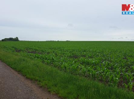 20260605_110907.jpg | Prodej - pozemek, zemědělská půda, 30 161 m²