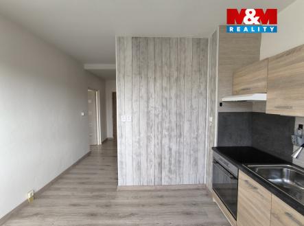 b5e4daab-5172-4520-bbf2-beb139b768f9.jpg | Pronájem bytu, 1+1, 41 m²