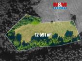 Prodej - pozemek, trvalý travní porost, 12 591 m²