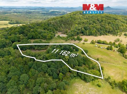 Pohled na pozemek | Prodej - pozemek, trvalý travní porost, 13 358 m²