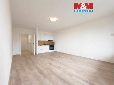 IMG_6708.jpg | Pronájem bytu, 1+kk, 30 m²