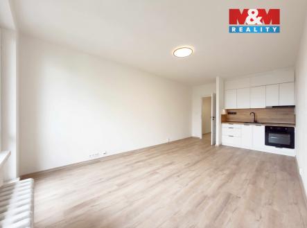 IMG_6709.jpg | Pronájem bytu, 1+kk, 30 m²
